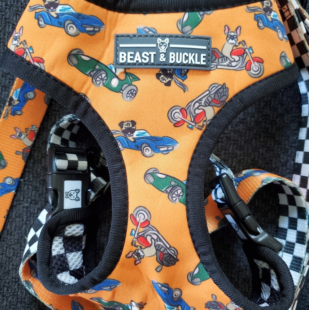 Matching Dog harness and leash set